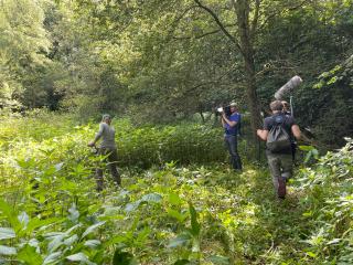 Aktionstag am Tüljebach
