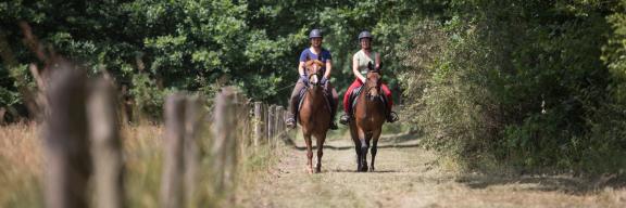 Ruiters © Agentschap voor Natuur en Bos