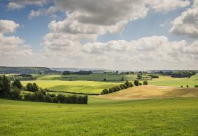 Siedlungsneubau im Maastal