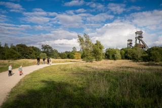 Hoge Kempen © Provincie Limburg B