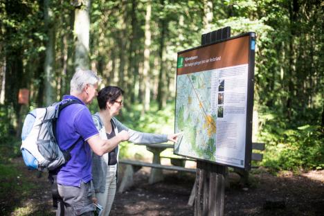 Oriëntatie in het Vijlenerbos © Visit Zuid Limburg