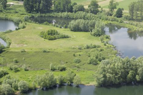 Solutions fondées sur la nature : Plaine d'inondation dans la vallée de la Meuse © Provincie Limburg B