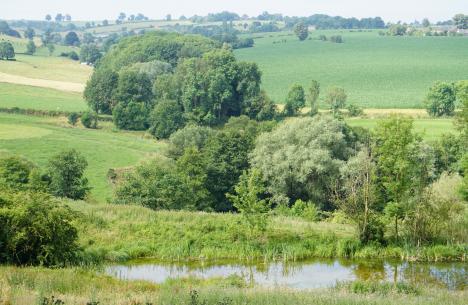 Natürlicher Wasserrückhalt im Natagoragebiet bei Hombourg  © Jaap Goudriaan