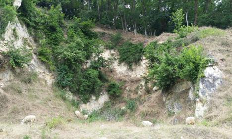 Zone Natura-2000 à la Montagne St-Pierre © Anja Brüll