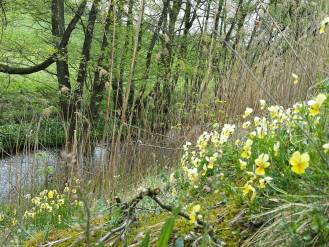 Espace pour une infrastructure verte