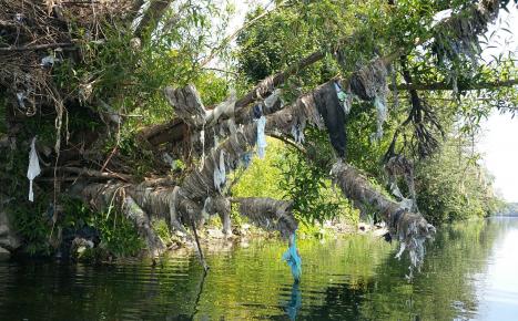Déchets plastiques dans la Meuse après plusieurs inondations