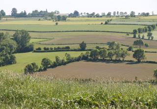 grenzüberschreitendes Gulptal